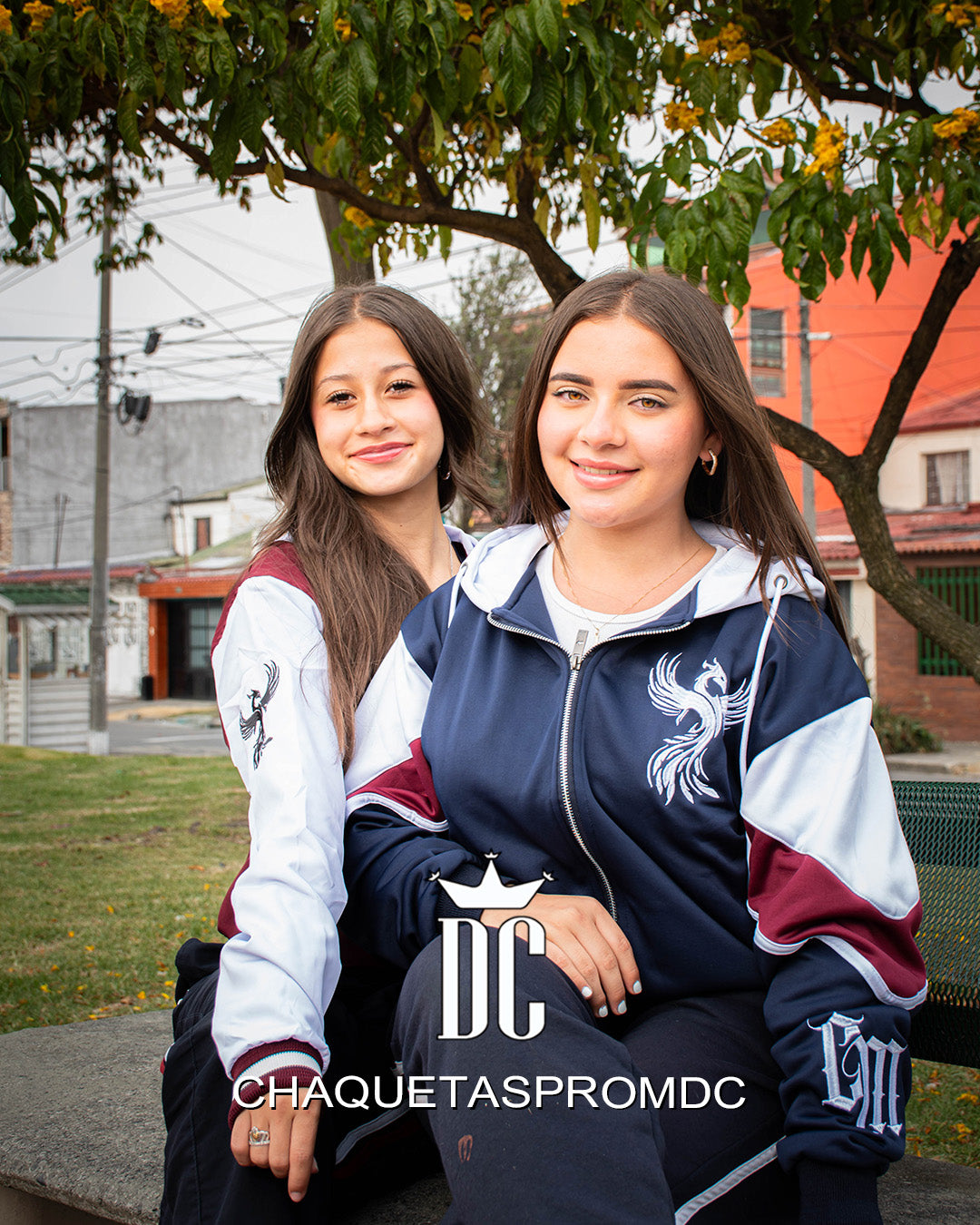 CHAQUETA CON CORTES EN MANGAS