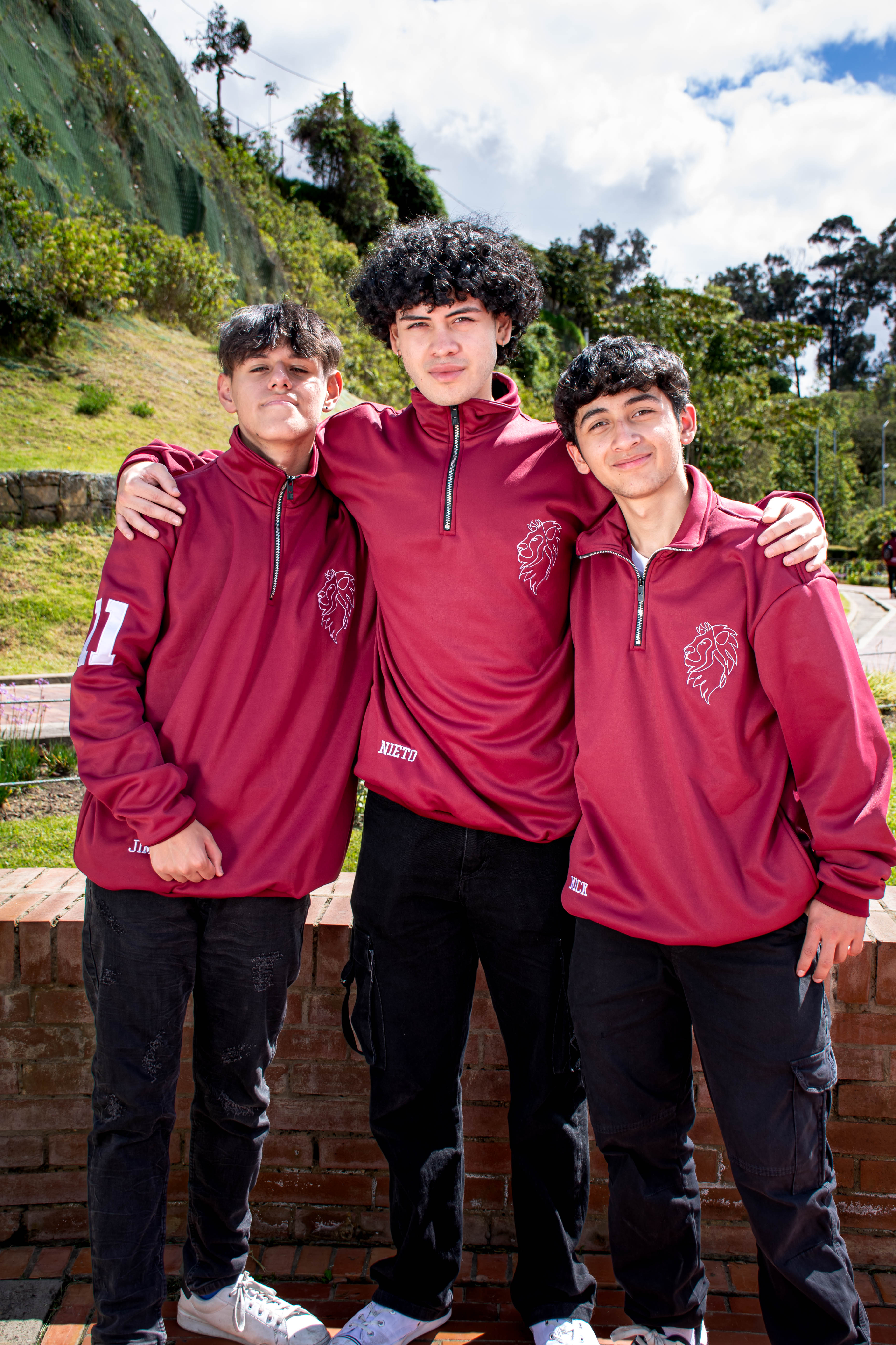 HOODIE DE CUELLO UNICOLOR, VINO TINTO