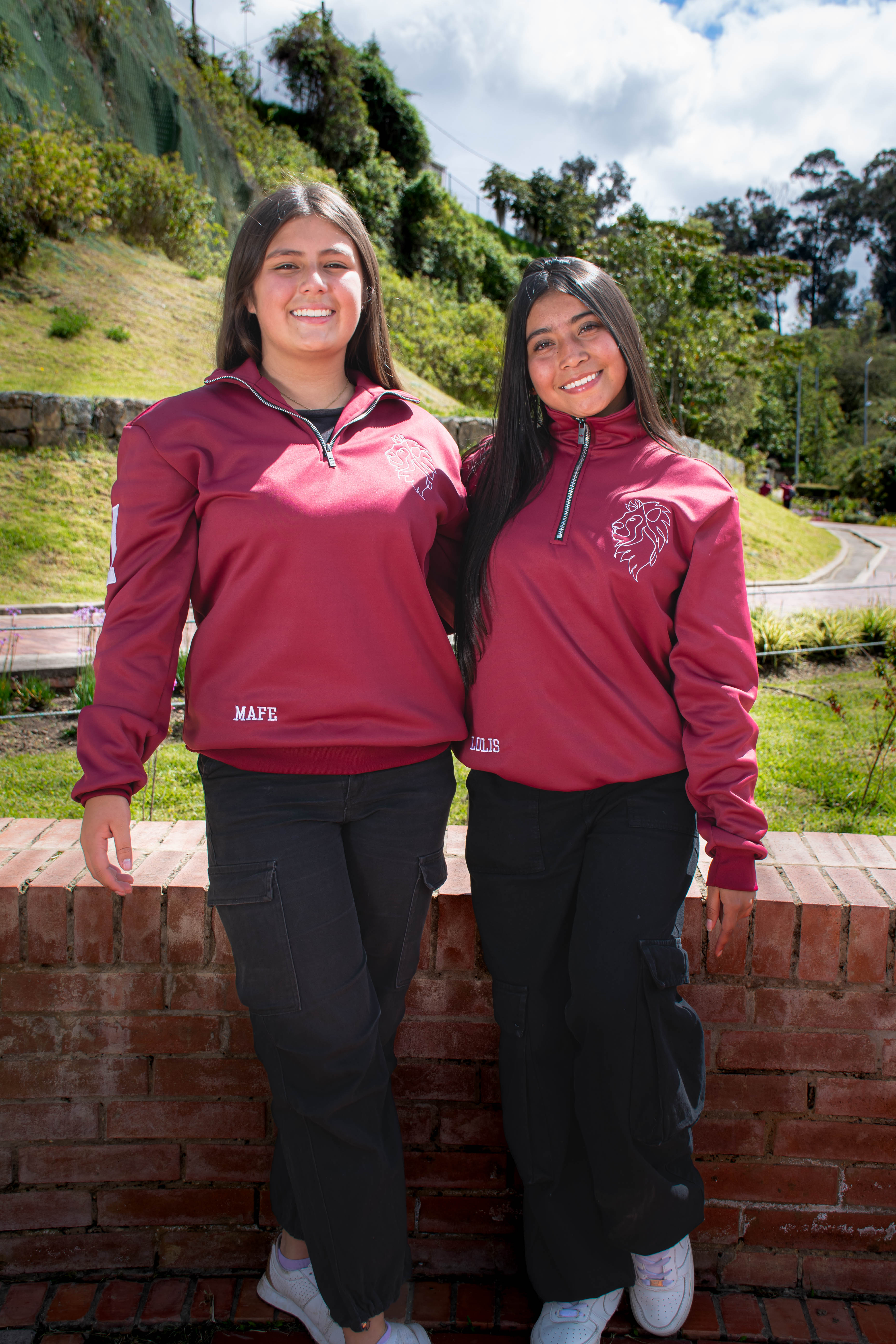 HOODIE DE CUELLO UNICOLOR, VINO TINTO